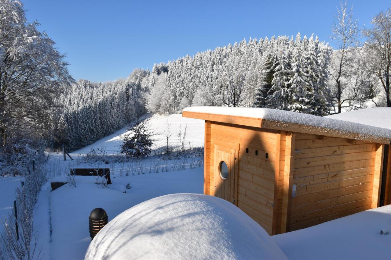 Asten-Chalets Winterberg Eksteriør bilde